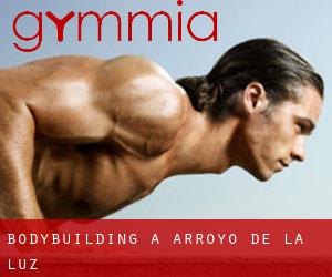 BodyBuilding a Arroyo de la Luz