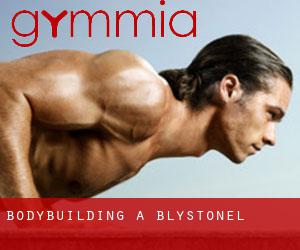 BodyBuilding a Blystonel