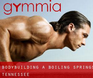 BodyBuilding a Boiling Springs (Tennessee)