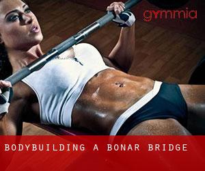 BodyBuilding a Bonar Bridge