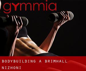 BodyBuilding a Brimhall Nizhoni