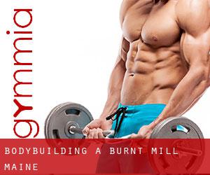 BodyBuilding a Burnt Mill (Maine)