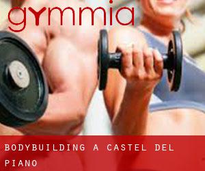 BodyBuilding a Castel del Piano