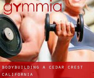 BodyBuilding a Cedar Crest (California)