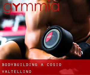 BodyBuilding a Cosio Valtellino