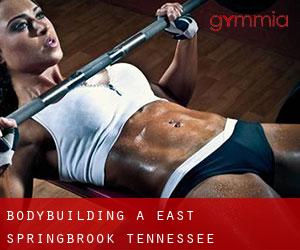 BodyBuilding a East Springbrook (Tennessee)