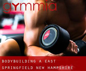 BodyBuilding a East Springfield (New Hampshire)