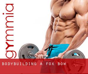 BodyBuilding a Fox Bow