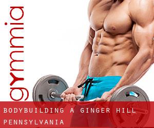 BodyBuilding a Ginger Hill (Pennsylvania)