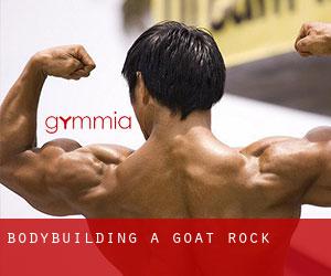 BodyBuilding a Goat Rock