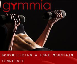 BodyBuilding a Lone Mountain (Tennessee)