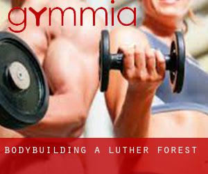 BodyBuilding a Luther Forest