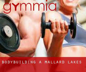BodyBuilding a Mallard Lakes