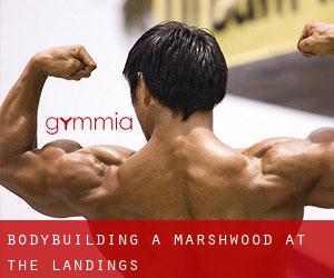 BodyBuilding a Marshwood at the Landings