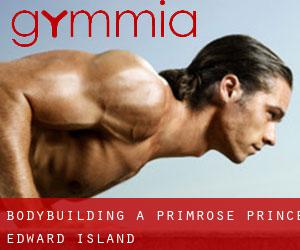 BodyBuilding a Primrose (Prince Edward Island)