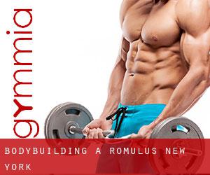 BodyBuilding a Romulus (New York)