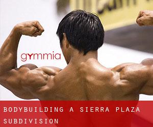 BodyBuilding a Sierra Plaza Subdivision