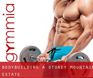 BodyBuilding a Stoney Mountain Estate