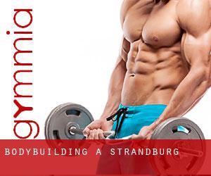 BodyBuilding a Strandburg