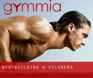 BodyBuilding a Vilsberg