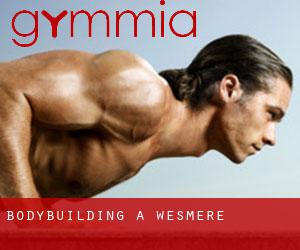 BodyBuilding a Wesmere