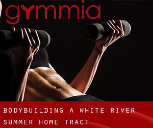 BodyBuilding a White River Summer Home Tract