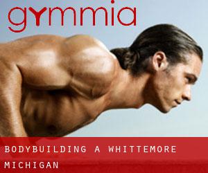 BodyBuilding a Whittemore (Michigan)