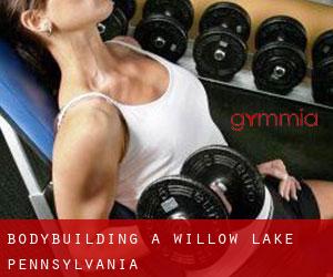 BodyBuilding a Willow Lake (Pennsylvania)