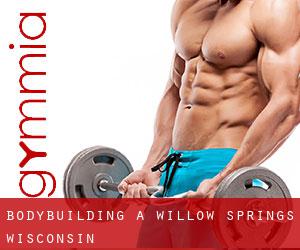 BodyBuilding a Willow Springs (Wisconsin)