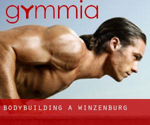 BodyBuilding a Winzenburg