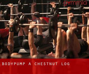 BodyPump a Chestnut Log