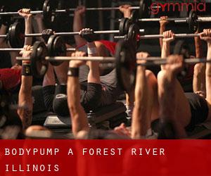 BodyPump a Forest River (Illinois)