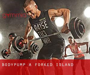 BodyPump a Forked Island