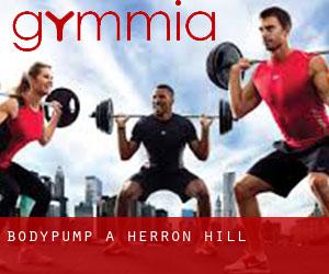 BodyPump a Herron Hill