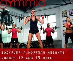 BodyPump a Hoffman Heights Numbes 12 and 13 (Utah)