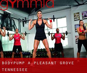 BodyPump a Pleasant Grove (Tennessee)