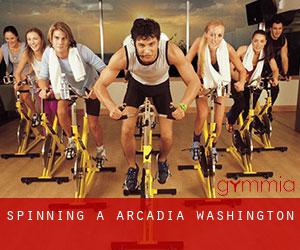 Spinning a Arcadia (Washington)