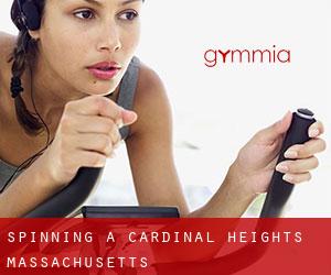 Spinning a Cardinal Heights (Massachusetts)