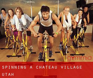 Spinning a Chateau Village (Utah)