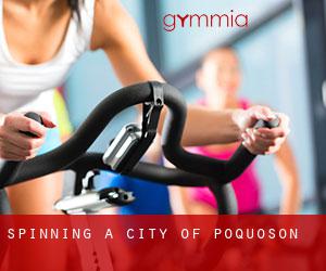 Spinning a City of Poquoson