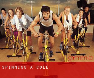 Spinning a Cole