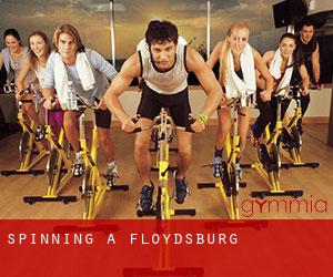 Spinning a Floydsburg
