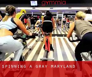Spinning a Gray (Maryland)