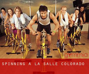 Spinning a La Salle (Colorado)