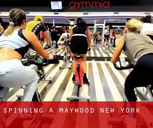 Spinning a Maywood (New York)