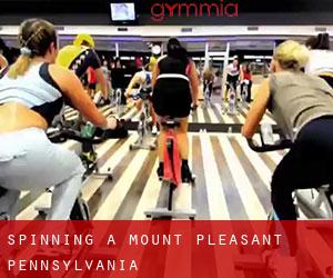Spinning a Mount Pleasant (Pennsylvania)