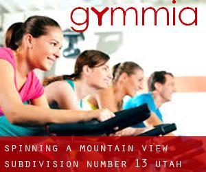 Spinning a Mountain View Subdivision Number 13 (Utah)