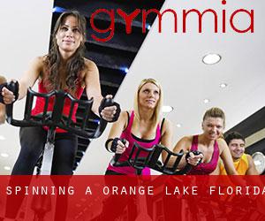 Spinning a Orange Lake (Florida)