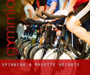 Spinning a Payette Heights
