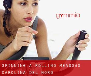 Spinning a Rolling Meadows (Carolina del Nord)